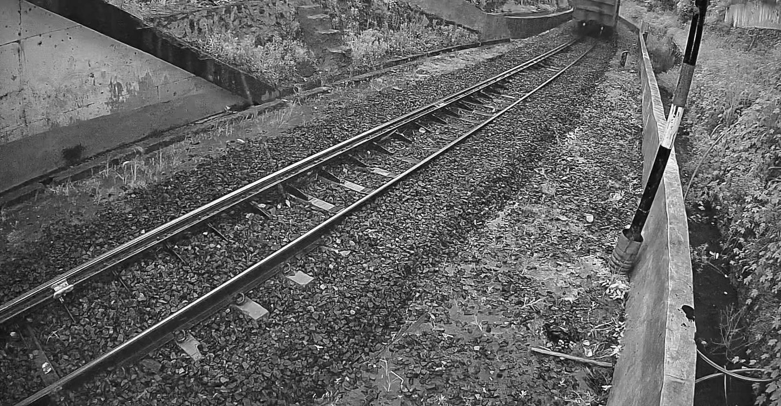 2026-05-06 05:53:35.jpg